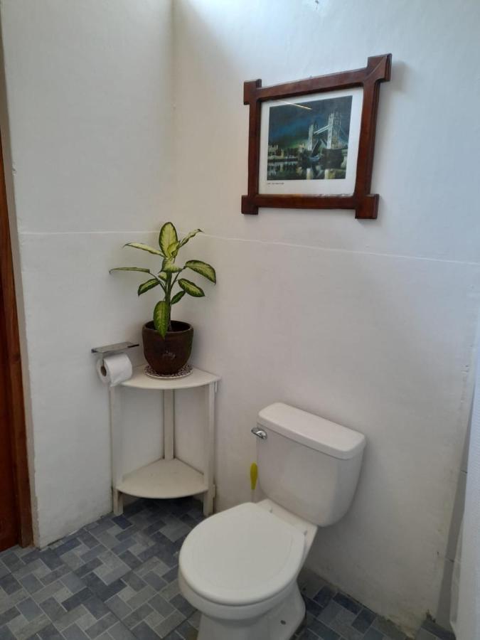 Casa Yoly Hostel Granada Eksteriør billede